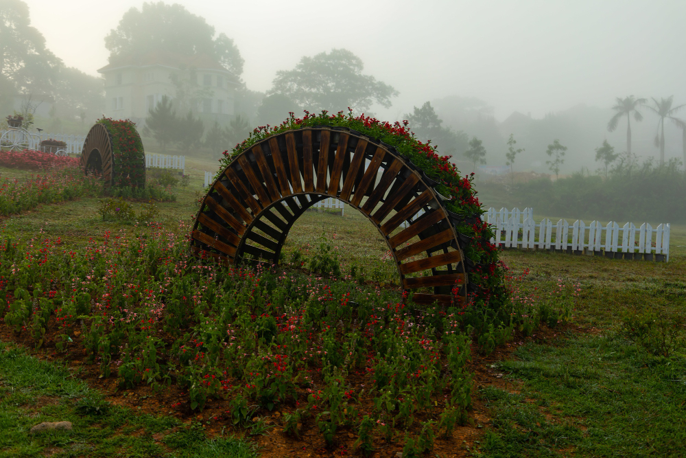 Bonnyholm Gardens